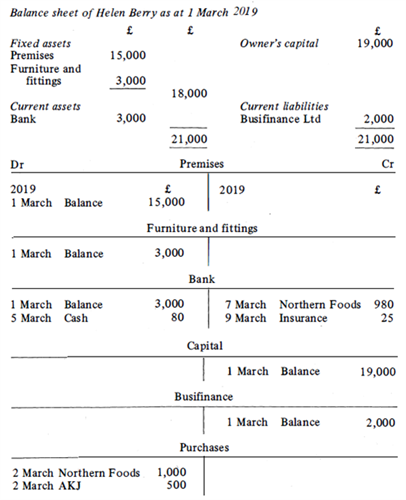 Figure 1. The Balance sheet and the Ledger